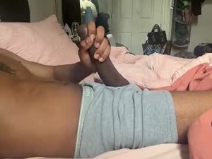 Screenshot from 11inchmasterpiece webcams