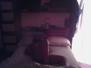 Screenshot from 1stpraw webcams