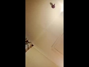 Screenshot from 2_is_company_2026 webcams