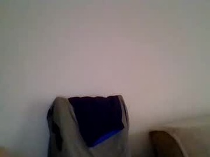 Screenshot from 2ndlipeater webcams