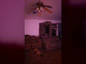Screenshot from 2playtease webcams