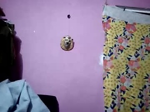 Screenshot from 34tigresmx webcams