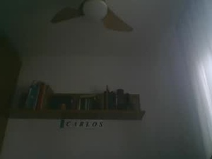 Screenshot from 4705ccc webcams