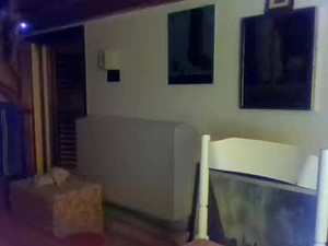 Screenshot from 77assdominator webcams