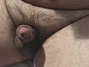 Screenshot from 81_bocian webcams