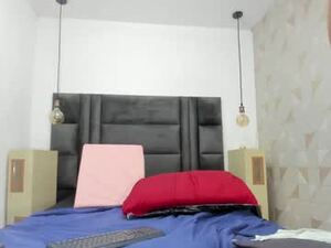 Screenshot from _arle_ webcams