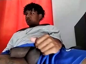 Screenshot from _cockpromise_ webcams