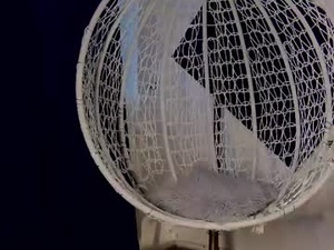 Screenshot from _daisy_rose webcams