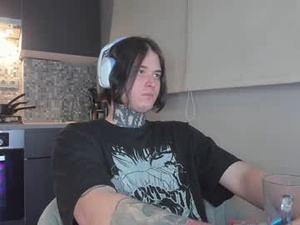 Screenshot from _torfin_ webcams