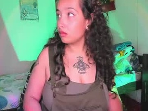 Screenshot from a_wallace webcams