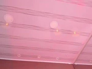 Screenshot from aa_lunit webcams