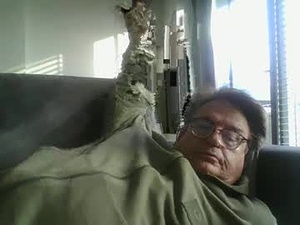 Screenshot from aadvanvliet webcams