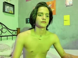 Screenshot from aaron_darkus webcams