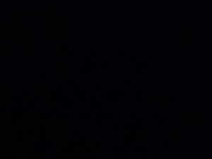 Screenshot from adamcoox webcams