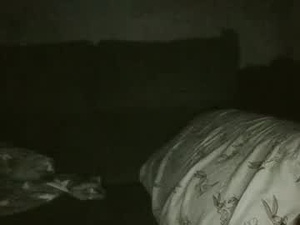 Screenshot from adrcmz5 webcams