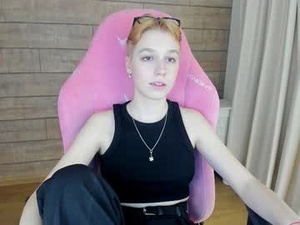 Screenshot from agatagate webcams