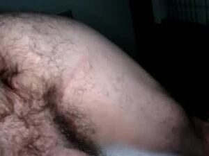 Screenshot from agent4005 webcams