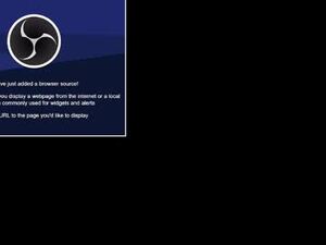 Screenshot from aholes934 webcams