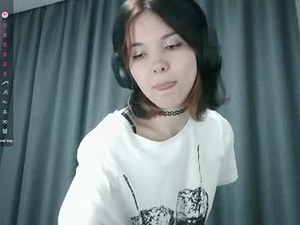 Screenshot from aidathome webcams
