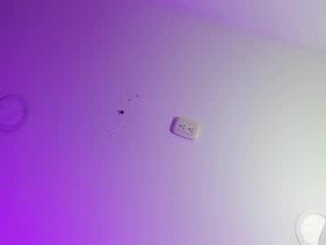 Screenshot from alahiafoxter_ webcams