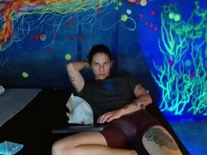 Screenshot from alan_dominant webcams