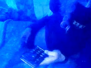 Screenshot from aless_lorraines webcams
