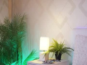 Screenshot from alessiaplays webcams