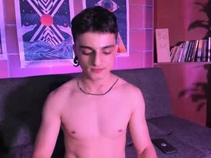 Screenshot from alexijacobs webcams