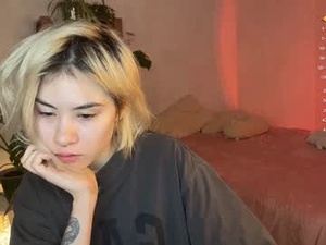 Screenshot from alicekit webcams