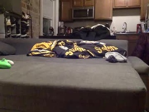 Screenshot from allenhungfun webcams