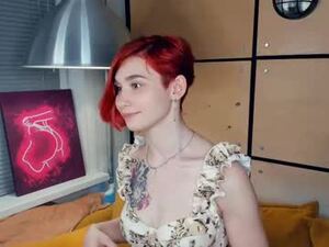 Screenshot from allisonwards webcams