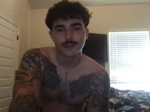 Screenshot from alphafrank webcams