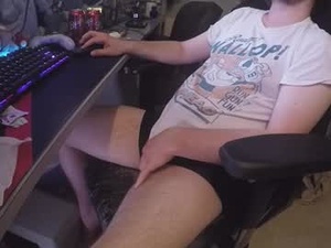 Screenshot from alternook webcams