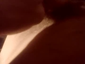 Screenshot from amer11201 webcams