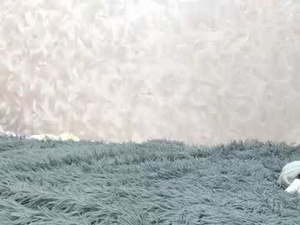 Screenshot from amoremeoww webcams