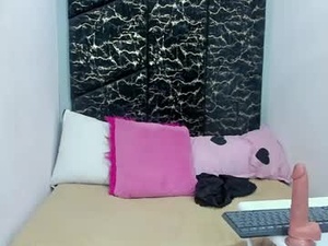 Screenshot from anacole webcams