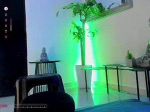 Screenshot from andresmer_ webcams