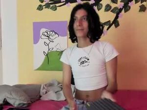 Screenshot from angell_braun webcams