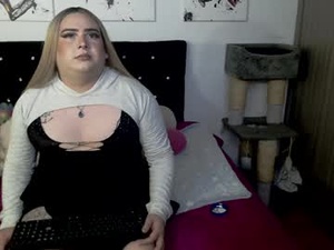 Screenshot from annevanhelsing webcams