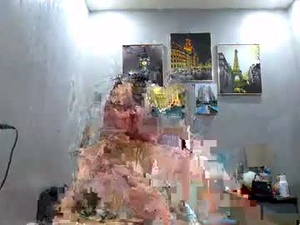 Screenshot from annsarapkopo webcams