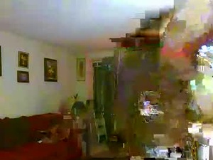 Screenshot from anthonemoses8 webcams