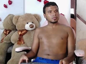 Screenshot from anthony_milleer webcams