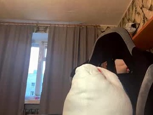 Screenshot from aprylblanquet webcams