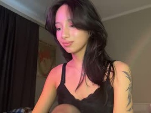 Screenshot from arlicee webcams