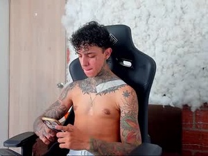 Screenshot from aron_ford webcams