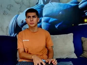 Screenshot from aron_pulse webcams