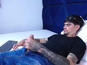 Screenshot from aronmuller_ webcams