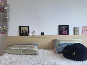 Screenshot from asterross webcams