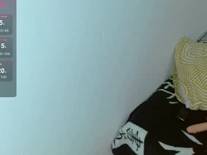 Screenshot from aurora_ada webcams