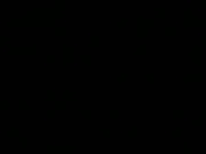 Screenshot from aurora_rley webcams